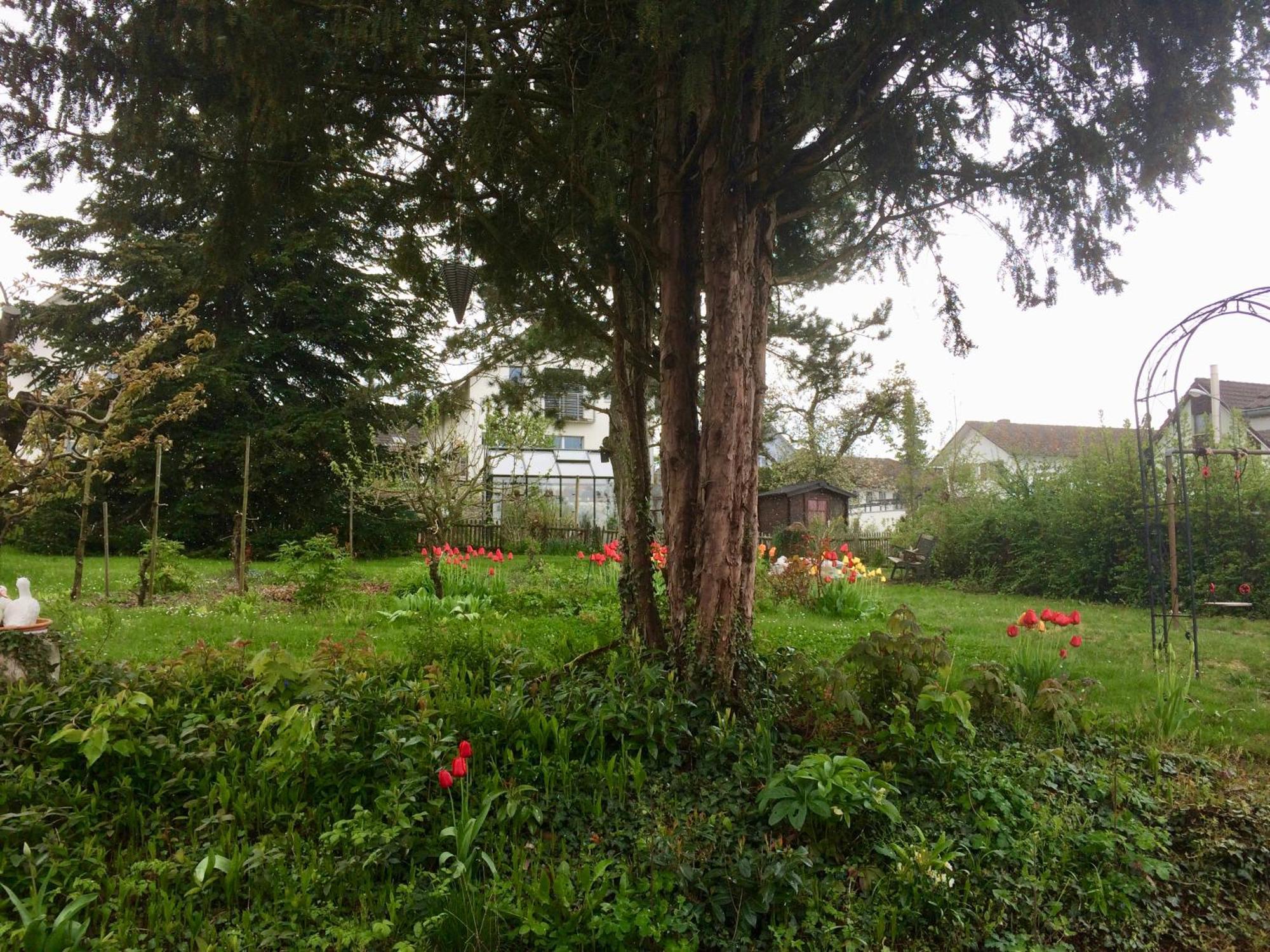 Guntli'S Family Guesthouse Andelfingen Экстерьер фото